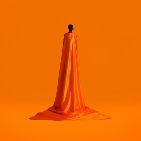 Wayne Snow – Figurine (LP)