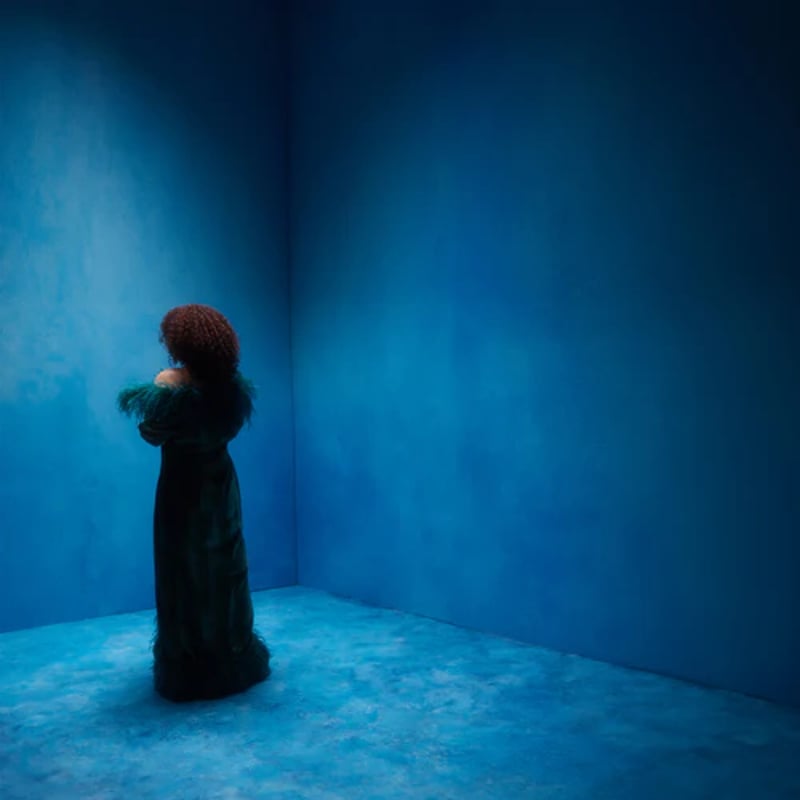 Enchantée Julia - ONZE＜LP＞（Analog） | Rambling R