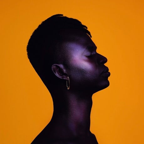 Wayne Snow – Figurine (LP)