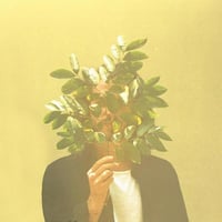 【CD】French Kiwi Juice / FKJ