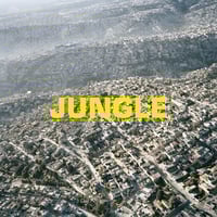 THE BLAZE - JUNGLE (LP)