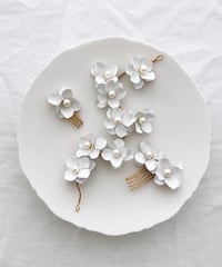 Jardin Blanc