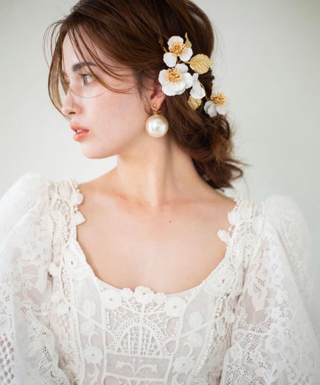 Camellia