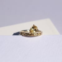 オーバルパヴェピンキーリング (K18WG) | CARCAJOU online store