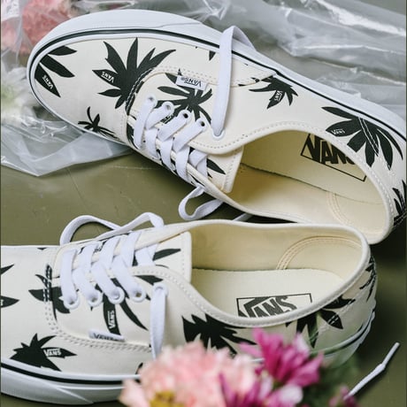 Authentic  <MARSHMALLOW/BLACK> 【VANS】