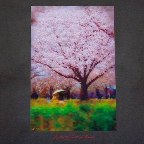幻想 TEE <sumi>  【SOW INOUE】