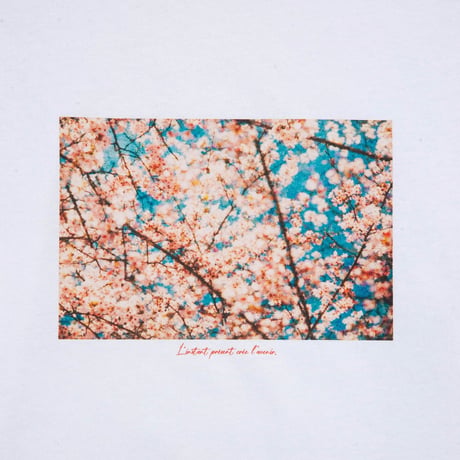 L’Instant Sakura L/S <white> 【SOW INOUE】