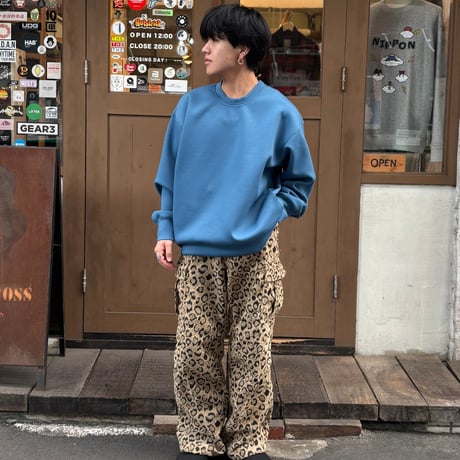 FRITZ CREW TRAINER 【PERS PROJECTS】