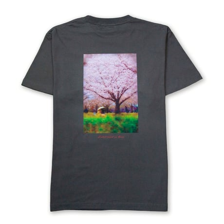 幻想 TEE <sumi>  【SOW INOUE】
