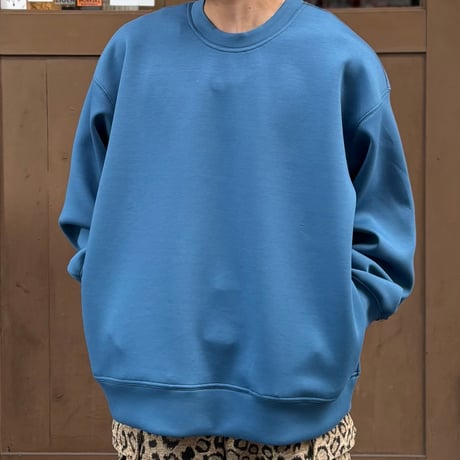 FRITZ CREW TRAINER 【PERS PROJECTS】