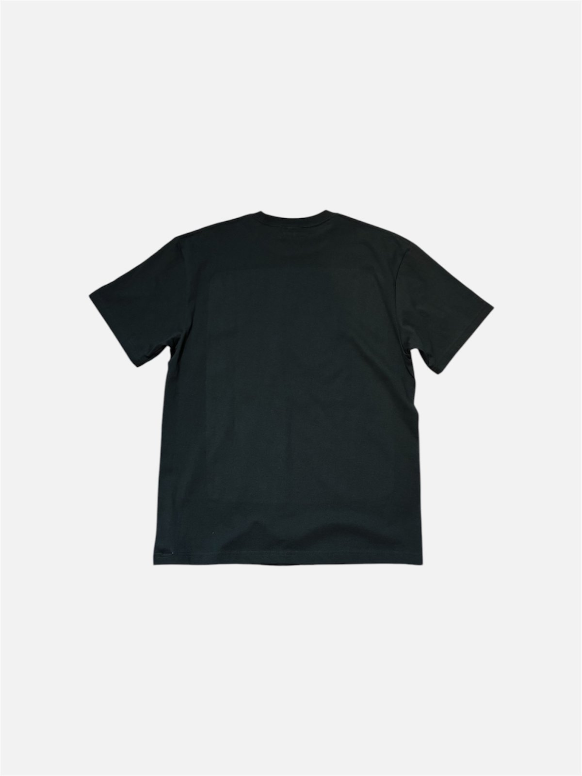 BASS NUDE Tee <black>【TASF】 | CLOTH+CROSS