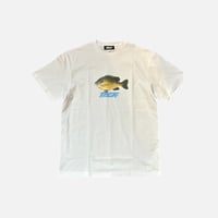 Gill Tee <white> 【TASF】