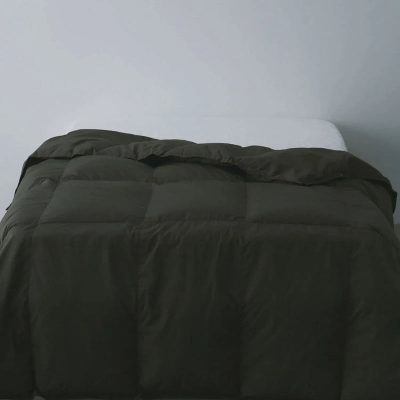 ルームダウン 超軽量 800FP 羽毛布団 クッションカバー付き