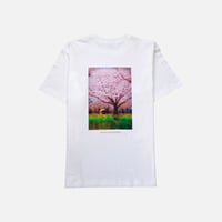 幻想 TEE <white>  【SOW INOUE】
