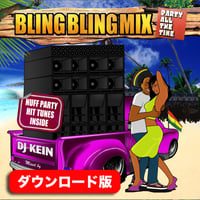 ダウンロード版 BLING BLING MIX  PARTY ALL THE TIME Mixed by DJ KEIN unsplit ver