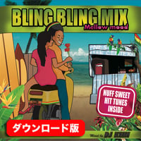ダウンロード版 BLING BLING MIX mellowmood Mixed by DJ KEIN unsplit ver