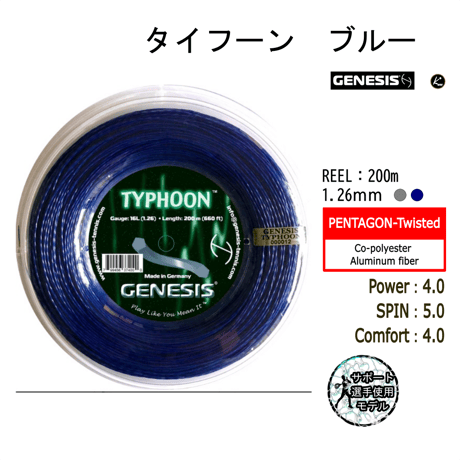 GENESIS　タイフーン　REEL（200m）