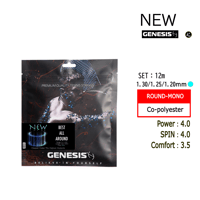 GENESIS　ニュー　SET(12m)