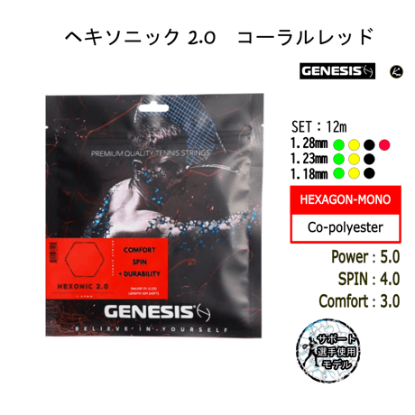 GENESIS　ヘキソニック 2.0  SET（12ｍ）