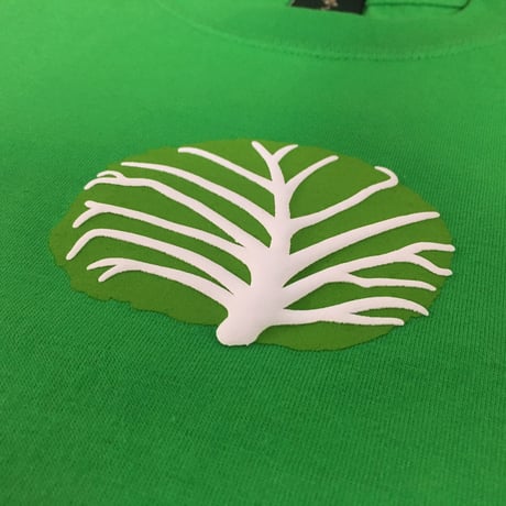キャベツ（グリーン）