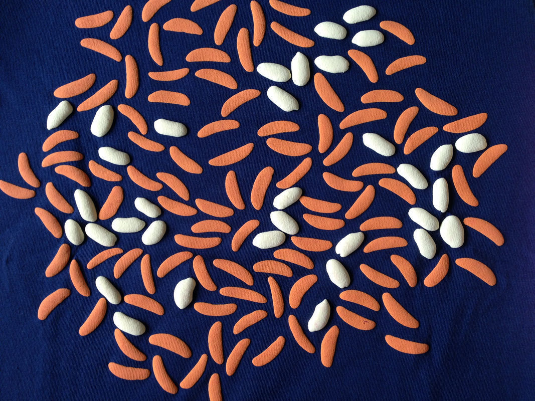 柿ピー（紺） | ちくわぶ