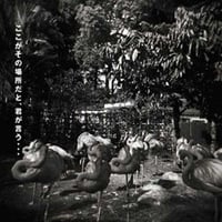 ヨシケン「ここがその場所だと君が言う・・・」2nd Album