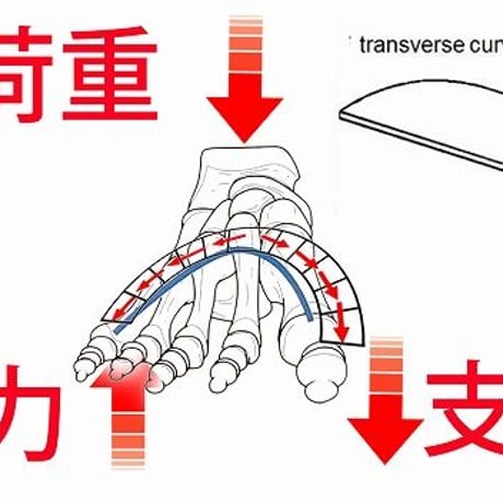 小指靴下（写真は黒靴下ですが白靴下でご相談させていただくことがあります）