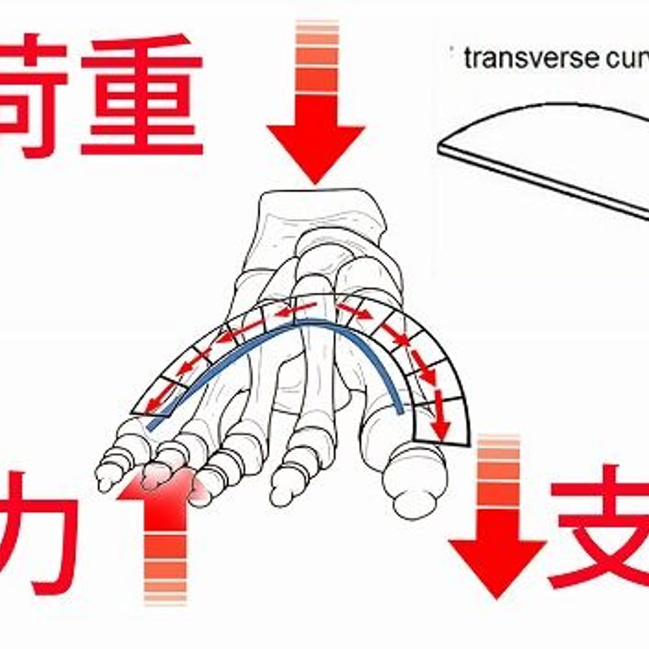 651aa05a91f26e04b5597825