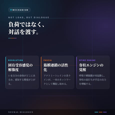 ロングミニッツバンドGETTAモデル｜共和ゴム社製・米井嘉一教授 監修｜神経系と対話するシリーズ最上位フラッグシップ