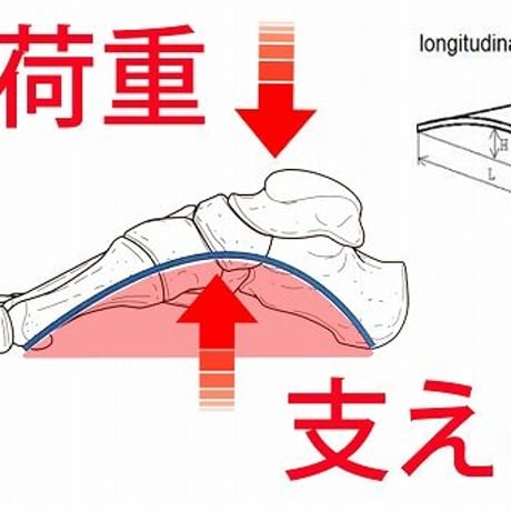 小指靴下（写真は黒靴下ですが白靴下でご相談させていただくことがあります）