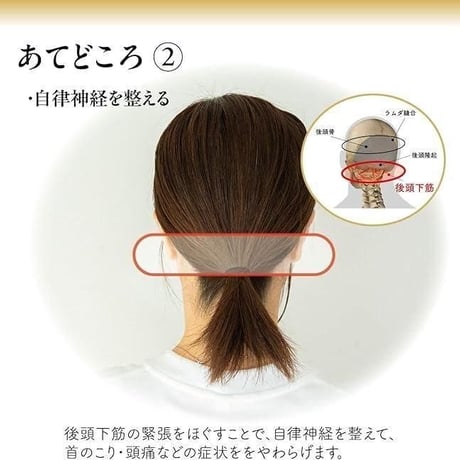和（なごみ）公式インストラクター認定講座｜柔道整復師・渡邉康隆監修｜ワーク／トレーニング／理論の3体系