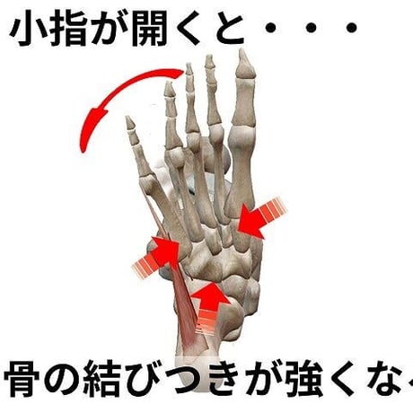 小指靴下（写真は黒靴下ですが白靴下でご相談させていただくことがあります）