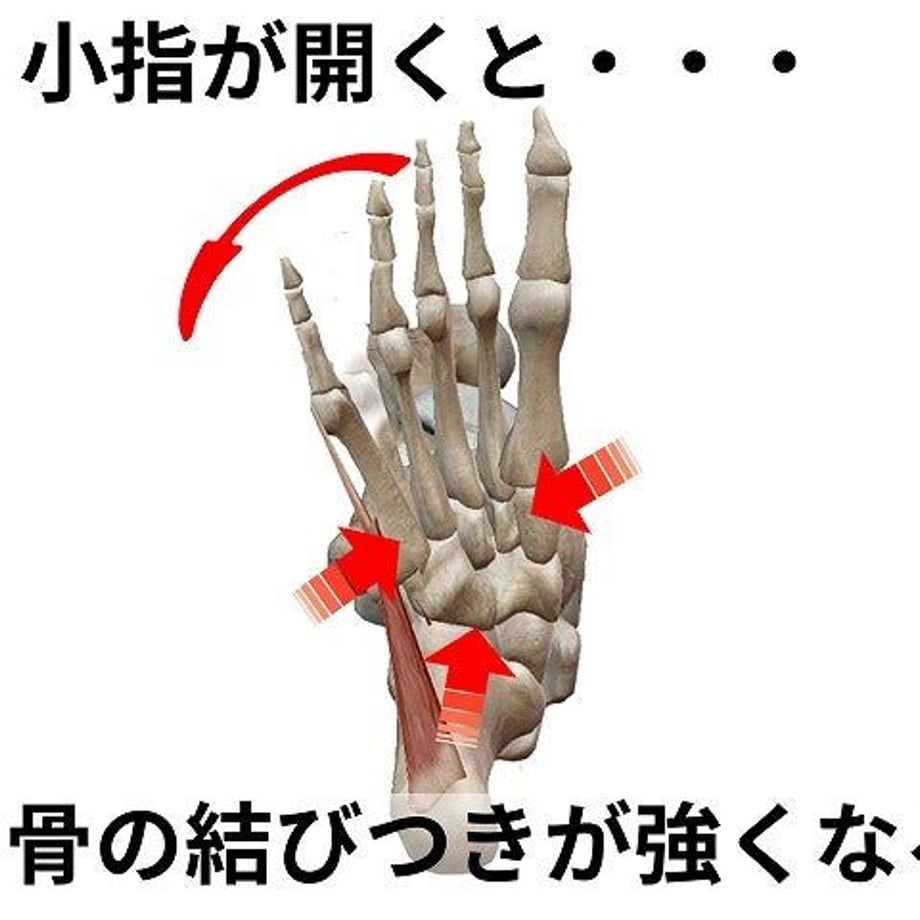 651aa05a91f26e04b5597825
