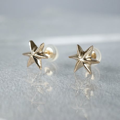 K10  Star Earrings *