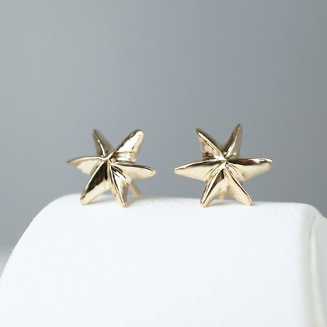 K10  Star Earrings *