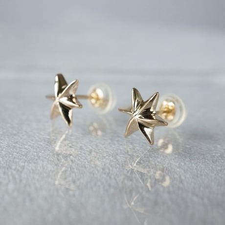 K10  Star Earrings *