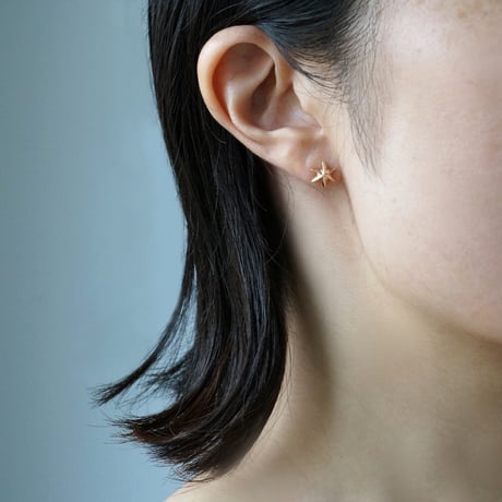 K10  Star Earrings *