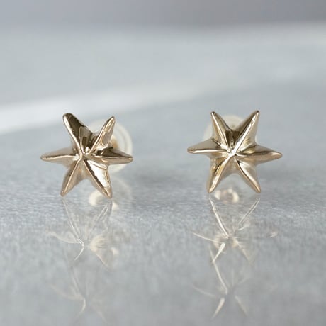 K10  Star Earrings *