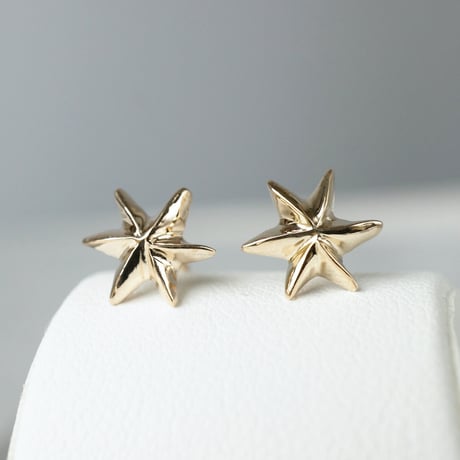 K10  Star Earrings *