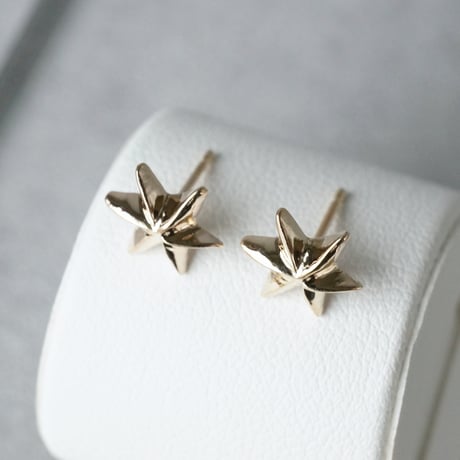 K10  Star Earrings *