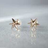 K10  Star Earrings *
