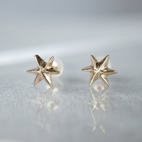K10  Star Earrings *