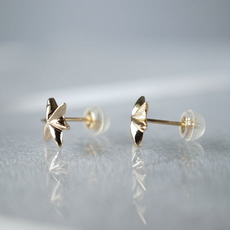 K10  Star Earrings *