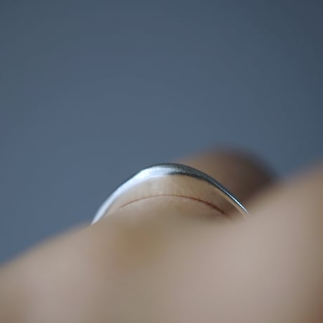 SV Wave Ring/Mountain