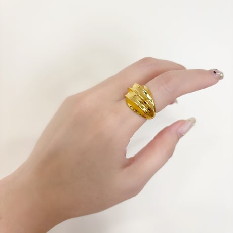 ring 293