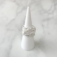 ring 304