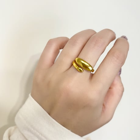 ring 339