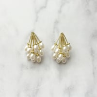pierce 298