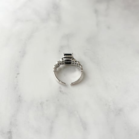 ring 317