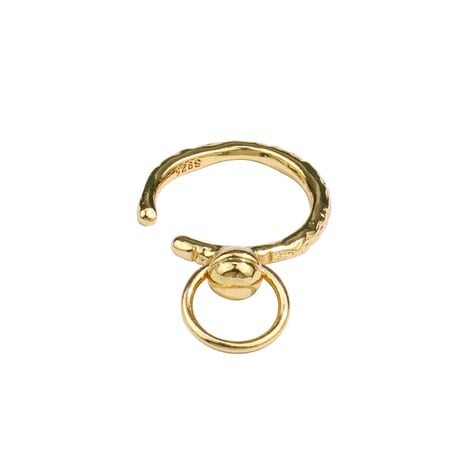 ring 331